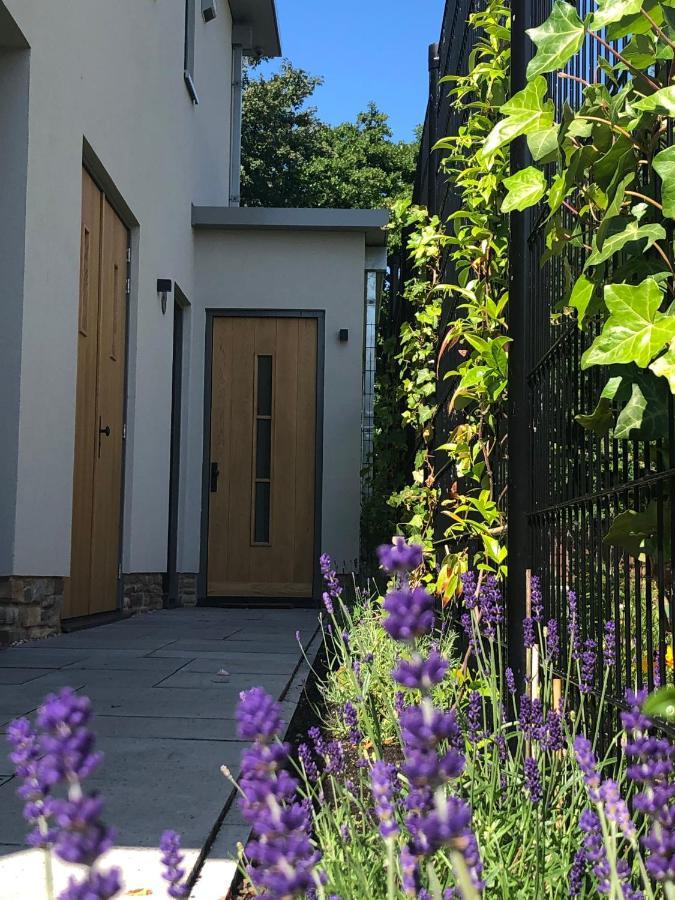 أمستلفين Luxe B&B "In De Schulp", Ontspan En Geniet Van Comfort En Stijl المظهر الخارجي الصورة